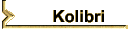 Kolibri